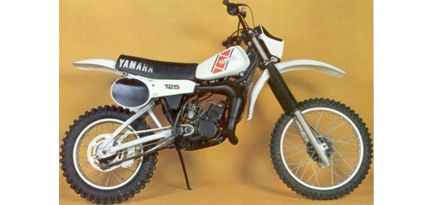Saison 1981  125cc (1/3)