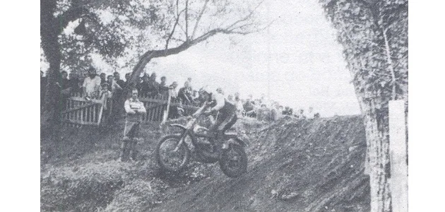 Arbis 1971
